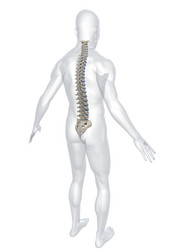 Similar image 8167571