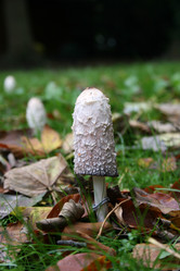 Similar image 8167574