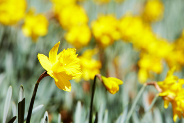 Similar image 8167581