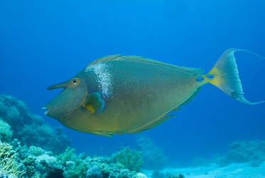 Similar image 8167589