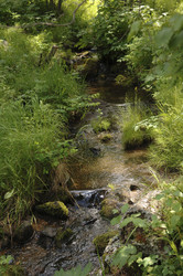 Similar image 8167597