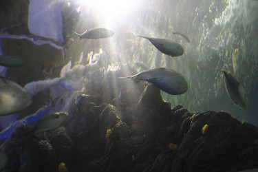 Similar image 8167618