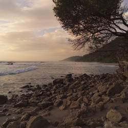 Similar image 8167623