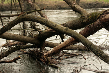 Similar image 8167627