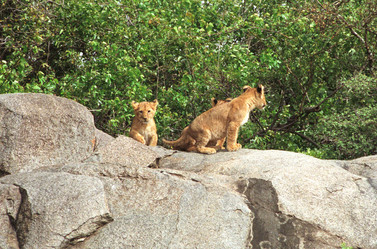 Similar image 8167629