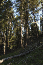 Similar image 8167636