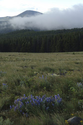 Similar image 8167663