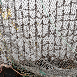 Similar image 8167665