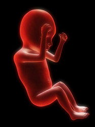 Similar image 8167690