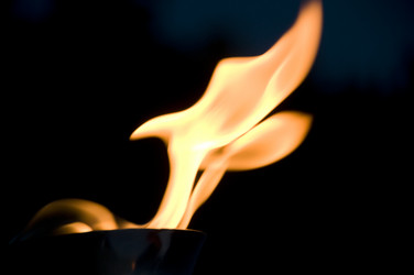 Similar image 8167693