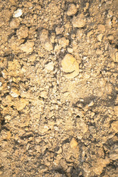 Similar image 8167699