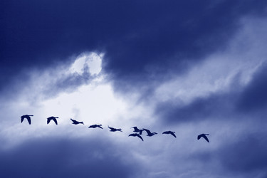 Similar image 8167720