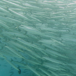 Similar image 8167728