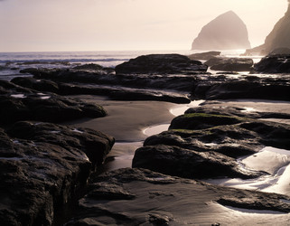 Similar image 8167729