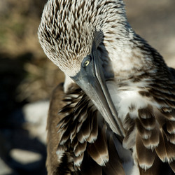 Similar image 8167730