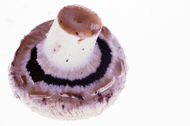 Similar image 8167739