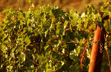 Similar image 8167746