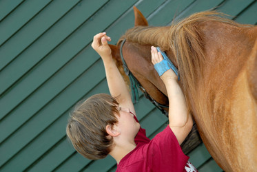 Similar image 8167748