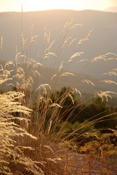 Similar image 8167752