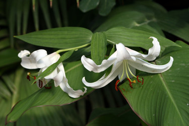 Similar image 8167756