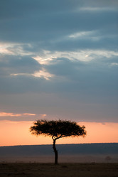 Similar image 8167765