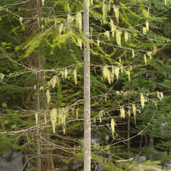 Similar image 8167780