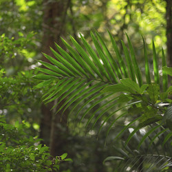 Similar image 8167787