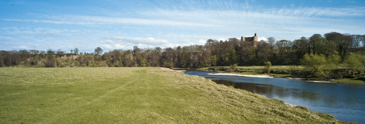 Similar image 8167795