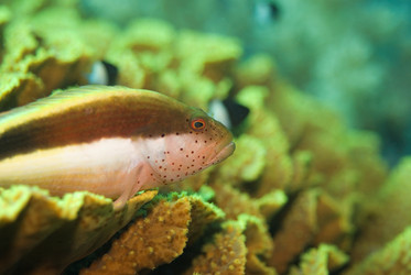 Similar image 8167797