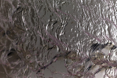 Similar image 8167814