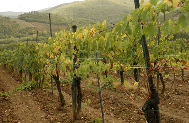 Similar image 8167818