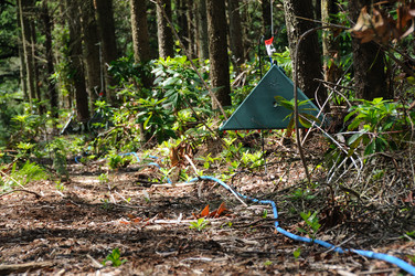 Similar image 8167820