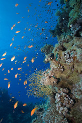 Similar image 8167828