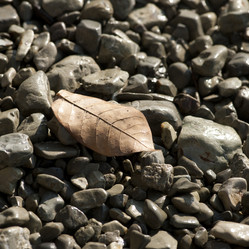 Similar image 8167836