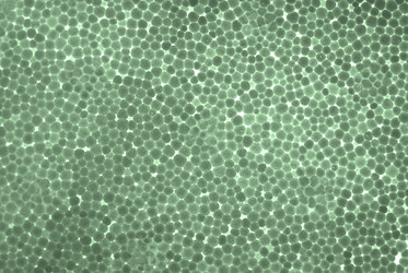 Similar image 8167854