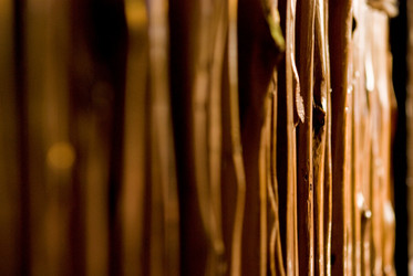 Similar image 8167858