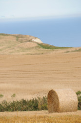 Similar image 8167865