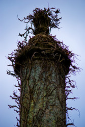 Similar image 8167867