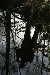 Similar image 8167871