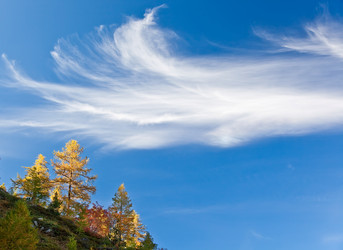 Similar image 8167878