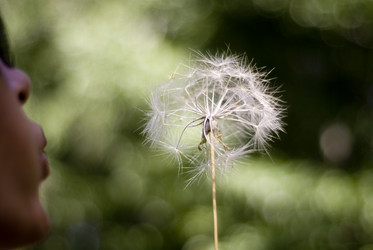 Similar image 8167883