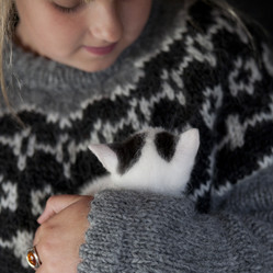 Similar image 8167907