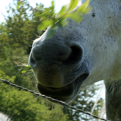 Similar image 8167910