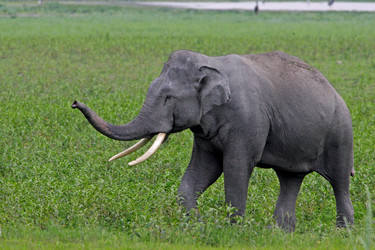 Similar image 8167912