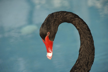 Similar image 8167916