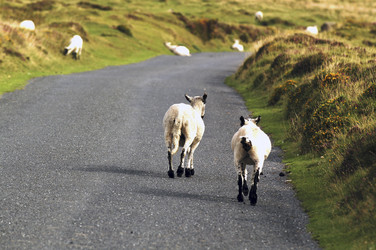 Similar image 8167932