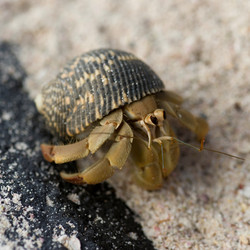 Similar image 8167947