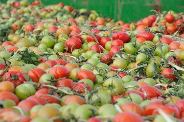 Similar image 8167952