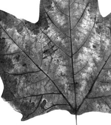 Similar image 8167969