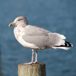 Similar image 8167970